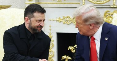 Zelenskyy to meet with Trump at the White House on Friday