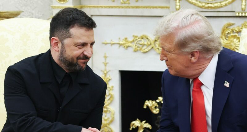 Zelenskyy to meet with Trump at the White House on Friday