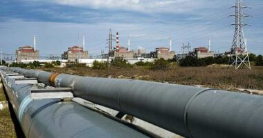 Zelenskyy warns Russian drones endanger safety at Chernobyl and at Europe's biggest nuclear plant