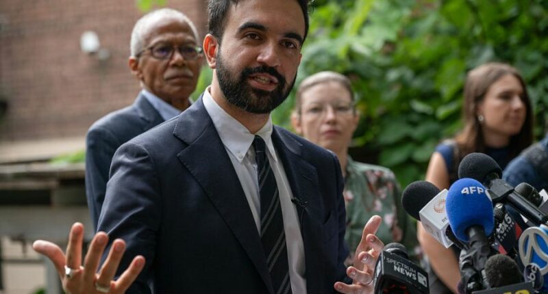 Zohran Mamdani makes his case to Jewish New Yorkers