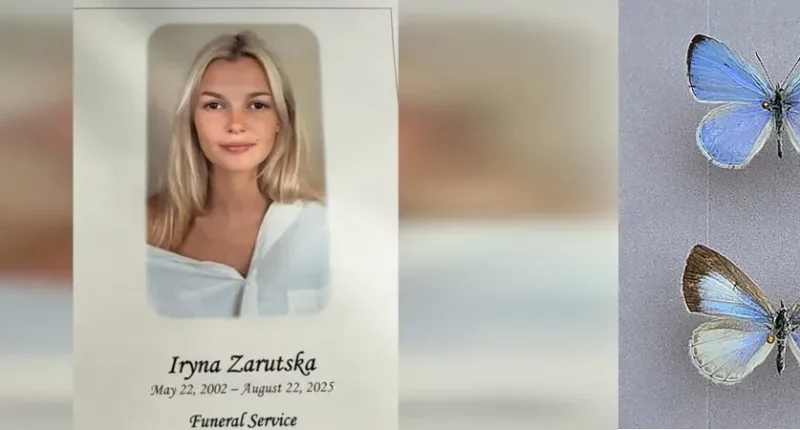 Iryna Zaruska New Butterfly Species