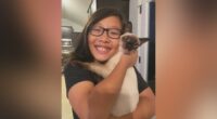 "Bullying must end," Death of Harlem Middle School student points to bullying prevention