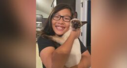 "Bullying must end," Death of Harlem Middle School student points to bullying prevention