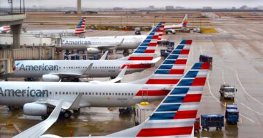 American Airlines Joins $500 Million Pumpkin Spice Fall Flavor Trend