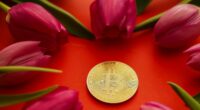 Beware the crypto schemes that look like tulip bulb mania, warns ALEX BRUMMER