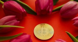 Beware the crypto schemes that look like tulip bulb mania, warns ALEX BRUMMER