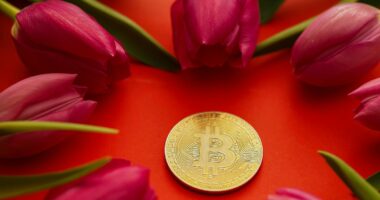 Beware the crypto schemes that look like tulip bulb mania, warns ALEX BRUMMER