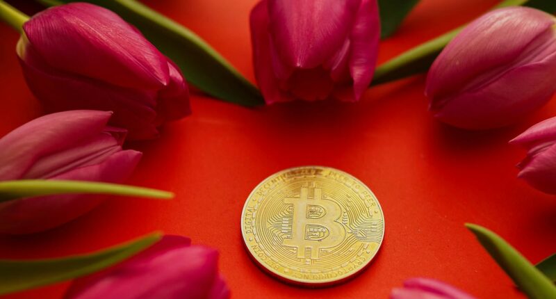 Beware the crypto schemes that look like tulip bulb mania, warns ALEX BRUMMER