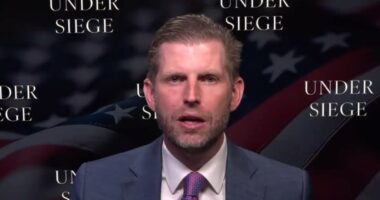 ERIC TRUMP: The darkest day in my dad's marriage to Melania... before the ugly truth was exposed