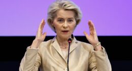 EU Under Fire From European Business Leaders Over Looming CS3D Rules
