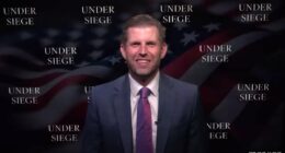 Eric Trump reveals his political future, which Trump might carry on the political dynasty and how writing his memoir was 'cathartic'