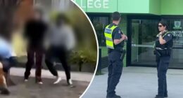 Girl, 16, arrested after 'targeted' affray outside Melbourne school