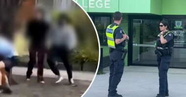 Girl, 16, arrested after 'targeted' affray outside Melbourne school