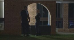 Group armed with machetes, shotgun, attack men in Sydney home