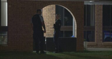 Group armed with machetes, shotgun, attack men in Sydney home