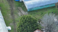 Group arrested after police allegedly discover cannabis crop worth $15 million