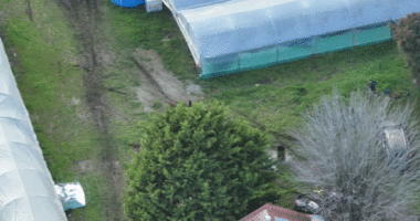 Group arrested after police allegedly discover cannabis crop worth $15 million