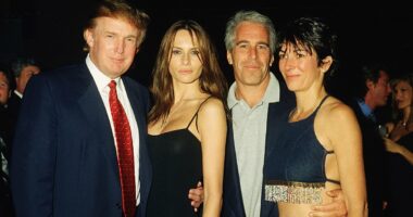 House Dem claims GOP ready to defy Trump over Epstein files