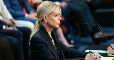 'I wish you loved Chicago as much as you hate Trump': Pam Bondi ridicules Dem senator whining about troops