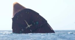 Israel-Hamas ceasefire will not mean global freight return to Red Sea