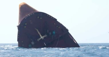 Israel-Hamas ceasefire will not mean global freight return to Red Sea