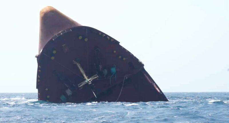 Israel-Hamas ceasefire will not mean global freight return to Red Sea