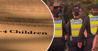 Judges told to bail underage offenders 'where possible' despite crime crisis