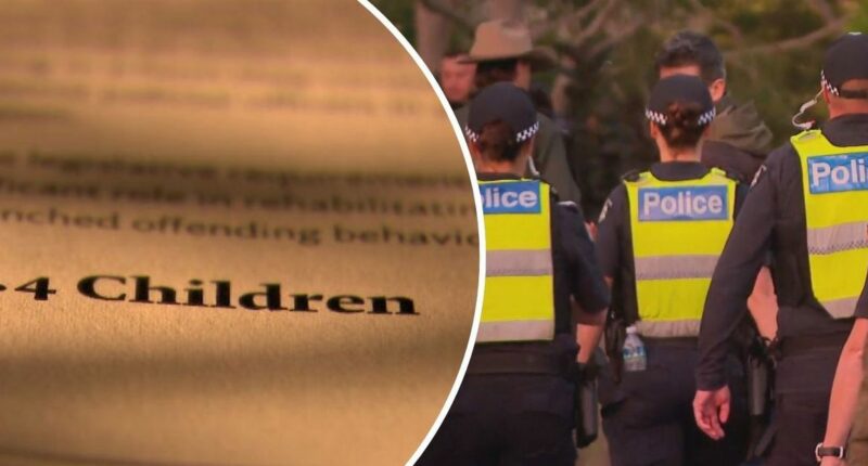 Judges told to bail underage offenders 'where possible' despite crime crisis