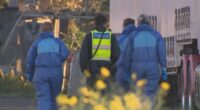 Man arrested after woman's death at Melbourne home