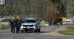 Man, property cleared after police operation in search of Dezi Freeman