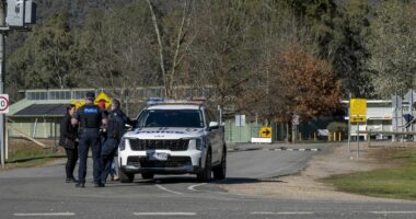 Man, property cleared after police operation in search of Dezi Freeman