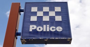 Pregnant L-plater, 19, faces court after alleged police pursuit with baby on board
