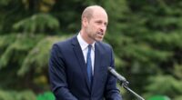 Prince William condemns killing of aid workers in Gaza