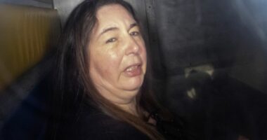 Prosecutors to appeal mushroom killer Erin Patterson's sentence
