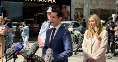 Queensland crime rates drop under 'adult crime, adult time' laws