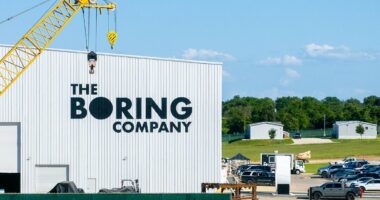 Staggering extent of Elon Musk's Southern land grab revealed