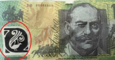 Surge in counterfeit cash sparks warning from police