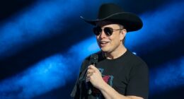 The staggering extent of Elon Musk's land grab in Southern state revealed