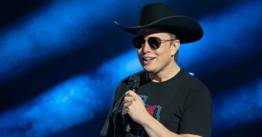 The staggering extent of Elon Musk's land grab in Southern state revealed