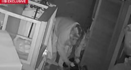 Thief breaks in, steals from Adelaide charity