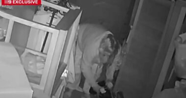 Thief breaks in, steals from Adelaide charity