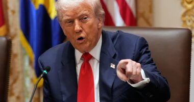 Trump blasts The View co-host Alyssa Farah Griffin