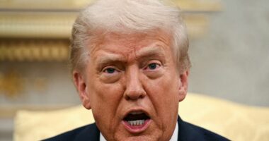 Trump calls for investigation into Democratic Senator