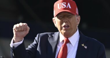 'Trump has COMPLETELY lost it': President attacked after making extraordinary 9/11 claim