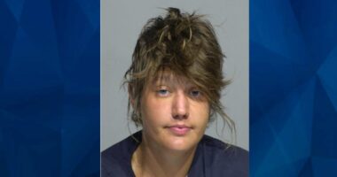 ‘I’m not suprised’: Wisconsin Daughter Accused of Fatally Bashing Mother’s Head with a Rock 