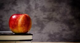 ‘Support for nonsense:’ Florida teacher condemned after using ‘Mx.’ prefix