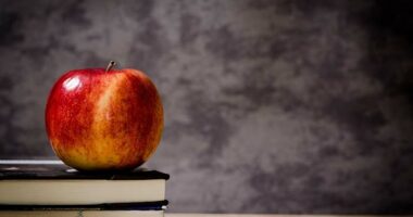 ‘Support for nonsense:’ Florida teacher condemned after using ‘Mx.’ prefix