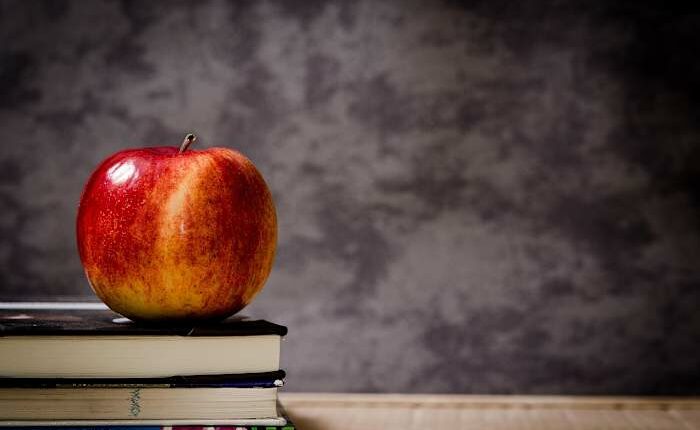‘Support for nonsense:’ Florida teacher condemned after using ‘Mx.’ prefix