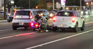 'An ongoing problem': Minibike crash happens during St. Pete traffic enforcement operation
