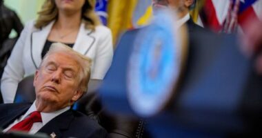 'Dozy Don': Trump Oval Office event images go viral